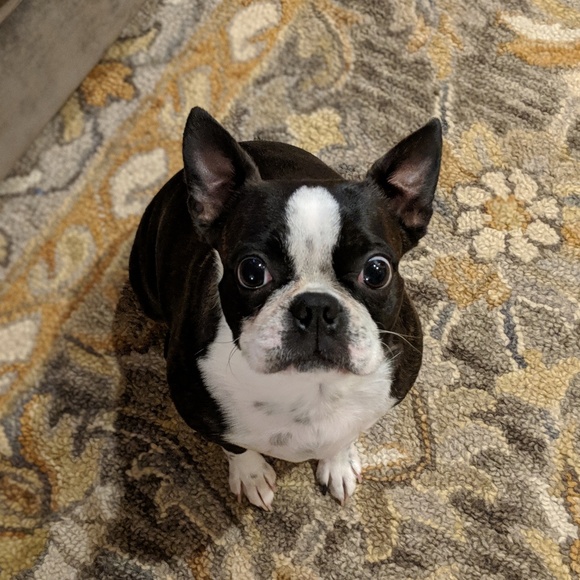 Meet your Posher, Kelly - Picture 3 of 5